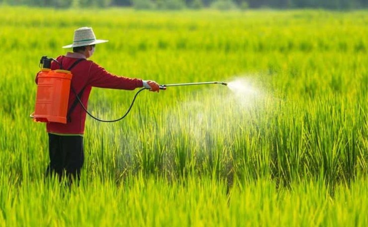 Xã Bất Bạt tăng cường chấp hành quy định sử dụng thuốc bảo vệ thực vật, bảo vệ sức khỏe cộng đồng và môi trường sinh thái- Ảnh 1.