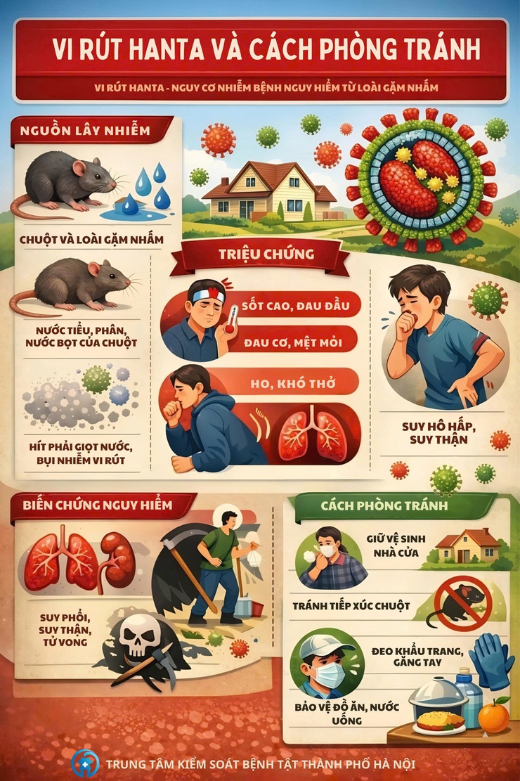 Bệnh do vi rút Hanta: Không hoang mang nhưng tuyệt đối không chủ quan- Ảnh 1.