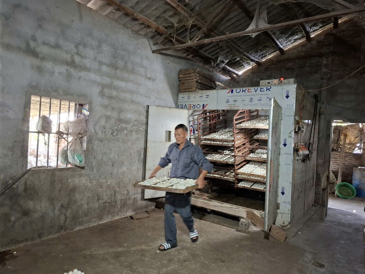 Từ vùng đất trũng đến mô hình kinh tế tổng hợp hiệu quả cao- Ảnh 2.