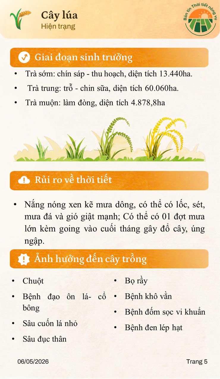 BẢN TIN THỜI TIẾT NÔNG VỤ THÁNG 5.2026- Ảnh 5.