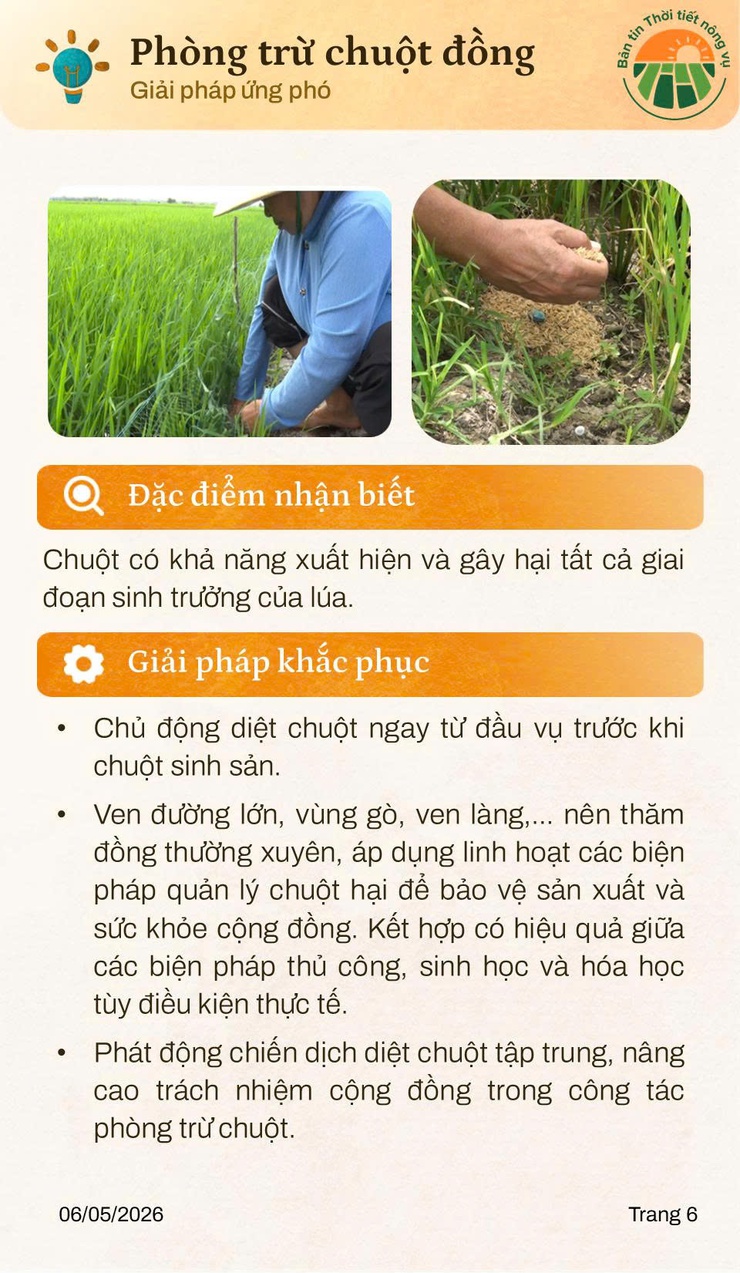 BẢN TIN THỜI TIẾT NÔNG VỤ THÁNG 5.2026- Ảnh 6.