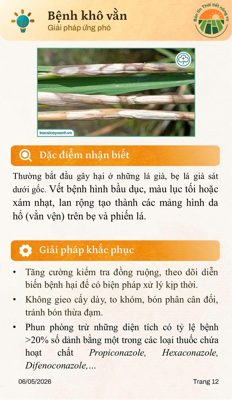 BẢN TIN THỜI TIẾT NÔNG VỤ THÁNG 5.2026- Ảnh 12.