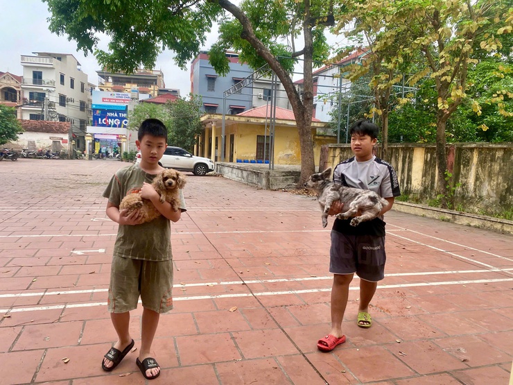 NAM PHÙ TIÊM PHÒNG DẠI ĐẠI TRÀ TẬP TRUNG CHO 2.440 CON CHÓ MÈO NĂM 2026- Ảnh 2.