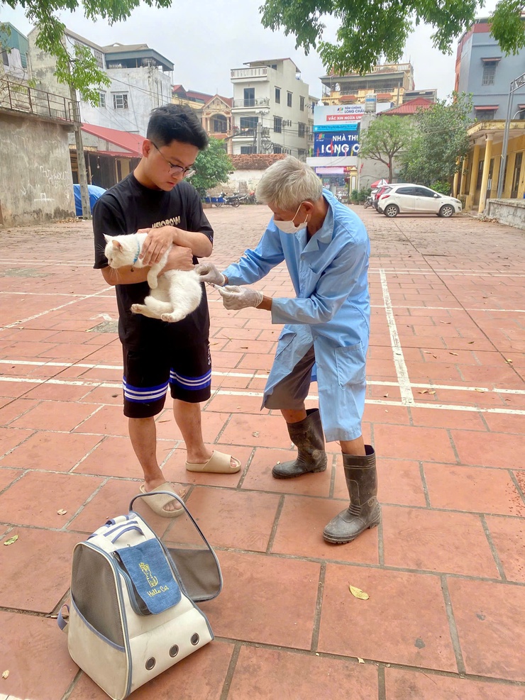 NAM PHÙ TIÊM PHÒNG DẠI ĐẠI TRÀ TẬP TRUNG CHO 2.440 CON CHÓ MÈO NĂM 2026- Ảnh 5.