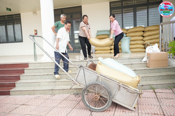  XÃ HƯNG ĐẠO CHỦ ĐỘNG DIỆT CHUỘT BẢO VỆ SẢN XUẤT NÔNG NGHIỆP VỤ XUÂN NĂM 2026- Ảnh 2.