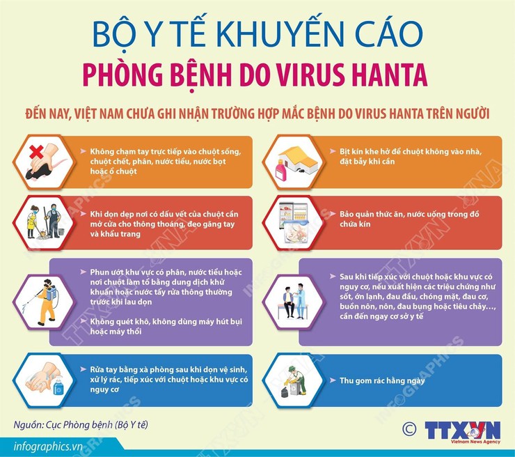  BỘ Y TẾ KHUYẾN CÁO PHÒNG BỆNH DO VIRUS HANTA- Ảnh 1.
