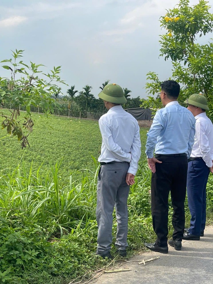 Đồng chí Lê Văn Quân - Bí thư Đảng ủy, Chủ tịch HĐND xã kiểm tra tình hình sản xuất nông nghiệp- Ảnh 1.