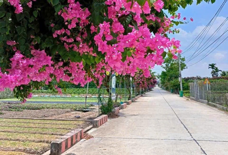 Xã Hồng Vân đồng bộ và quyết liệt xử lý rác thải/ngày- Ảnh 3.