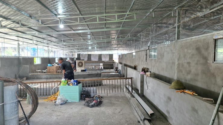 Kiểm tra công tác quản lý giết mổ, vận chuyển, kinh doanh động vật, sản phẩm động vật tại các xã Phúc Thọ, Dương Hòa- Ảnh 2.