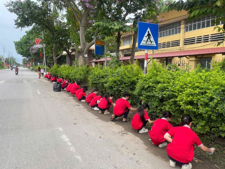Thầy và trò THCS Võng Xuyên chung tay làm đẹp cảnh quan trường học- Ảnh 7.