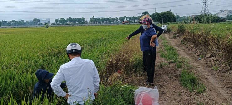 Vĩnh Thanh triển khai hướng dẫn sản xuất trồng trọt vụ Mùa năm 2026- Ảnh 5.
