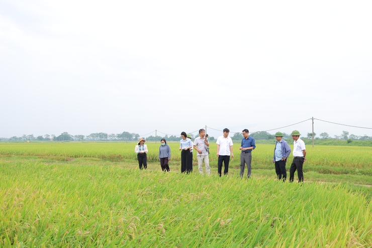 Phú Nghĩa: Khẳng định vai trò lãnh đạo, chỉ đạo của Cấp ủy, chính quyền đối với nhiệm vụ phát triển kinh tế, xã hội- Ảnh 9.