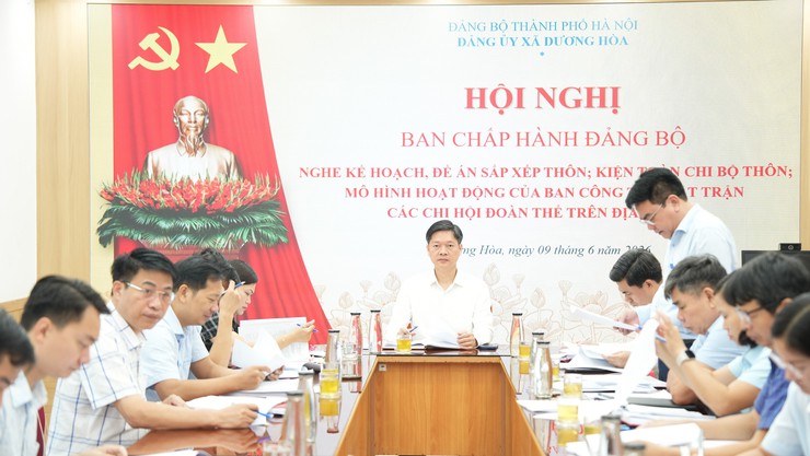 Ban Chấp hành Đảng bộ xã họp nghe kế hoạch, đề án sắp xếp thôn- Ảnh 1.