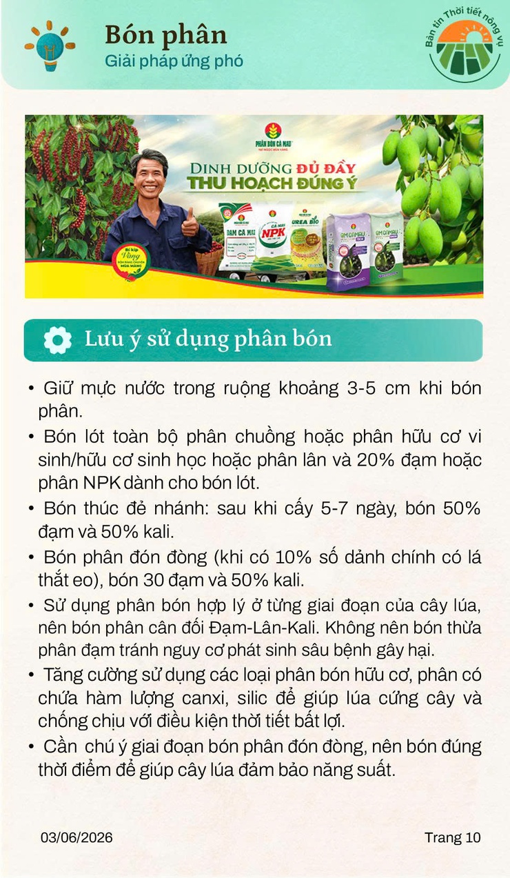 BẢN TIN THỜI TIẾT NÔNG VỤ THÁNG 6 NĂM 2026- Ảnh 10.