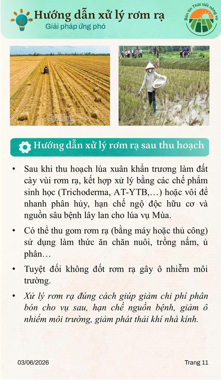 BẢN TIN THỜI TIẾT NÔNG VỤ THÁNG 6 NĂM 2026- Ảnh 11.