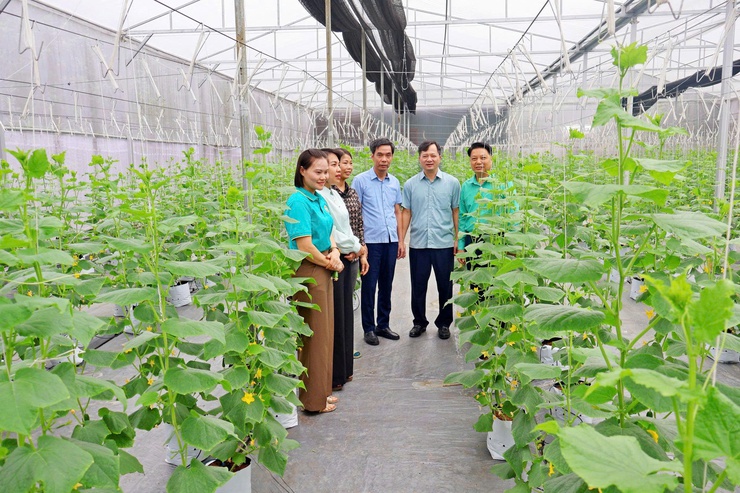 Đoàn công tác số 2 Hội Nông dân thành phố Hà Nội kiểm tra công tác Hội và phong trào nông dân tại xã Đoài Phương- Ảnh 1.