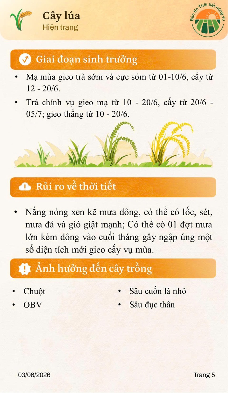 BẢN TIN THỜI TIẾT NÔNG VỤ THÁNG 6 NĂM 2026- Ảnh 5.