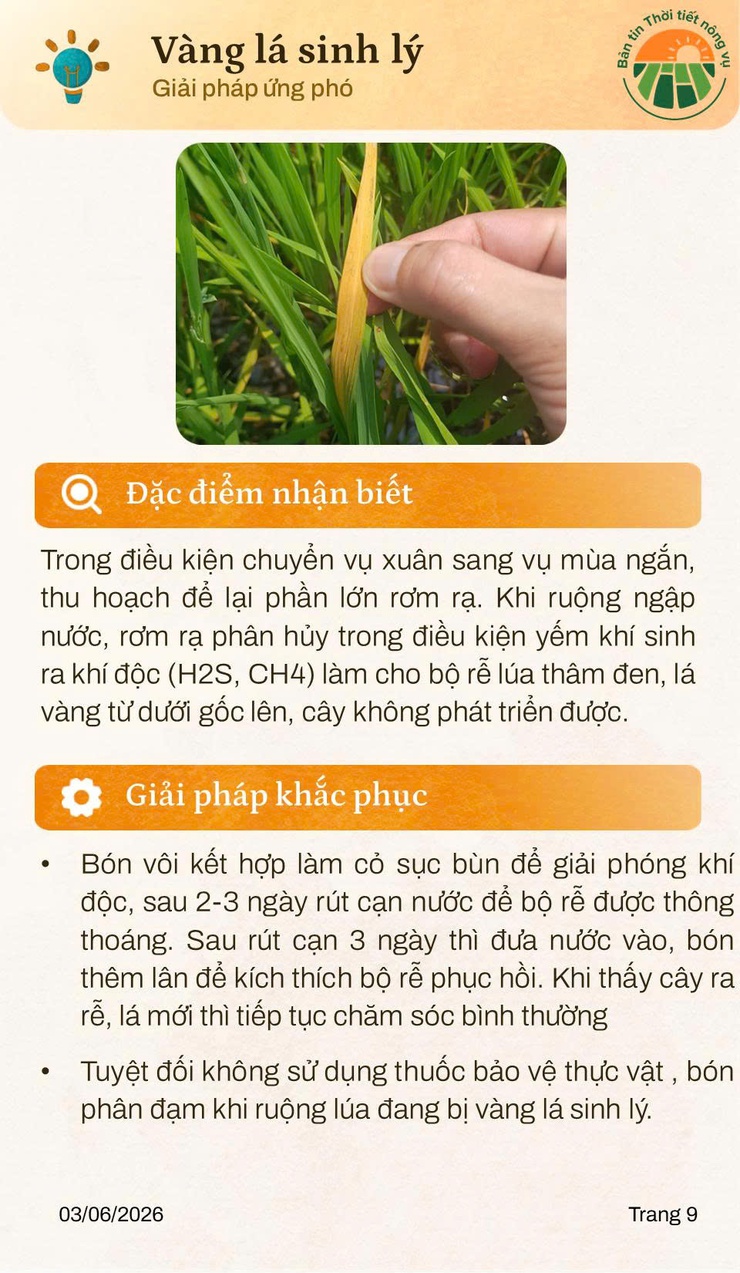 BẢN TIN THỜI TIẾT NÔNG VỤ THÁNG 6 NĂM 2026- Ảnh 9.