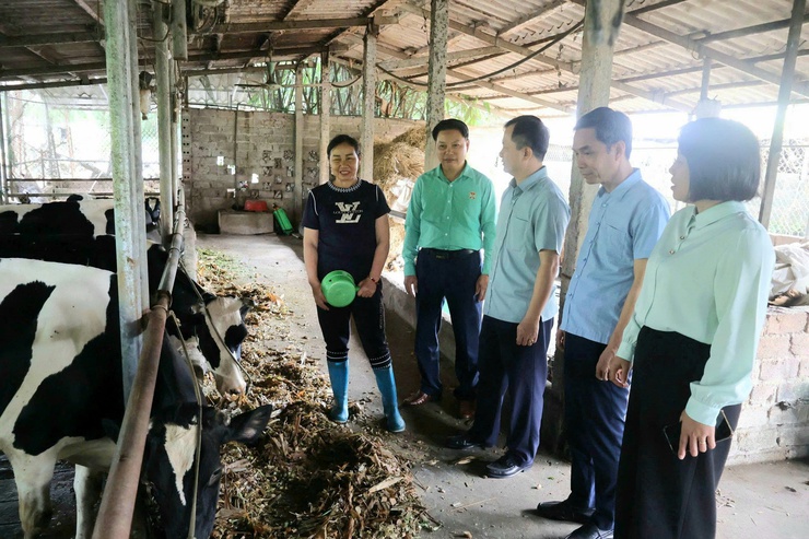 Đoàn công tác số 2 Hội Nông dân thành phố Hà Nội kiểm tra công tác Hội và phong trào nông dân tại xã Đoài Phương- Ảnh 2.