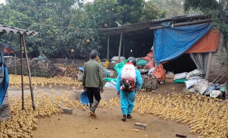 THÔNG BÁO TRIỂN KHAI PHUN DIỆT RUỒI, VỆ SINH KHỬ TRÙNG TIÊU ĐỘC MÔI TRƯỜNG NĂM 2026- Ảnh 2.