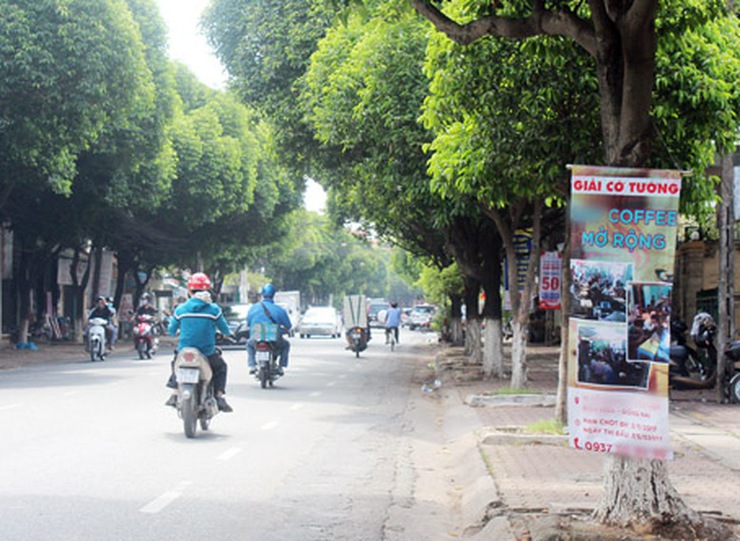Hà Nội ban hành Nghị quyết quy định mức tiền phạt đối với một số hành vi vi phạm hành chính trong lĩnh vực văn hóa, quảng cáo- Ảnh 1.