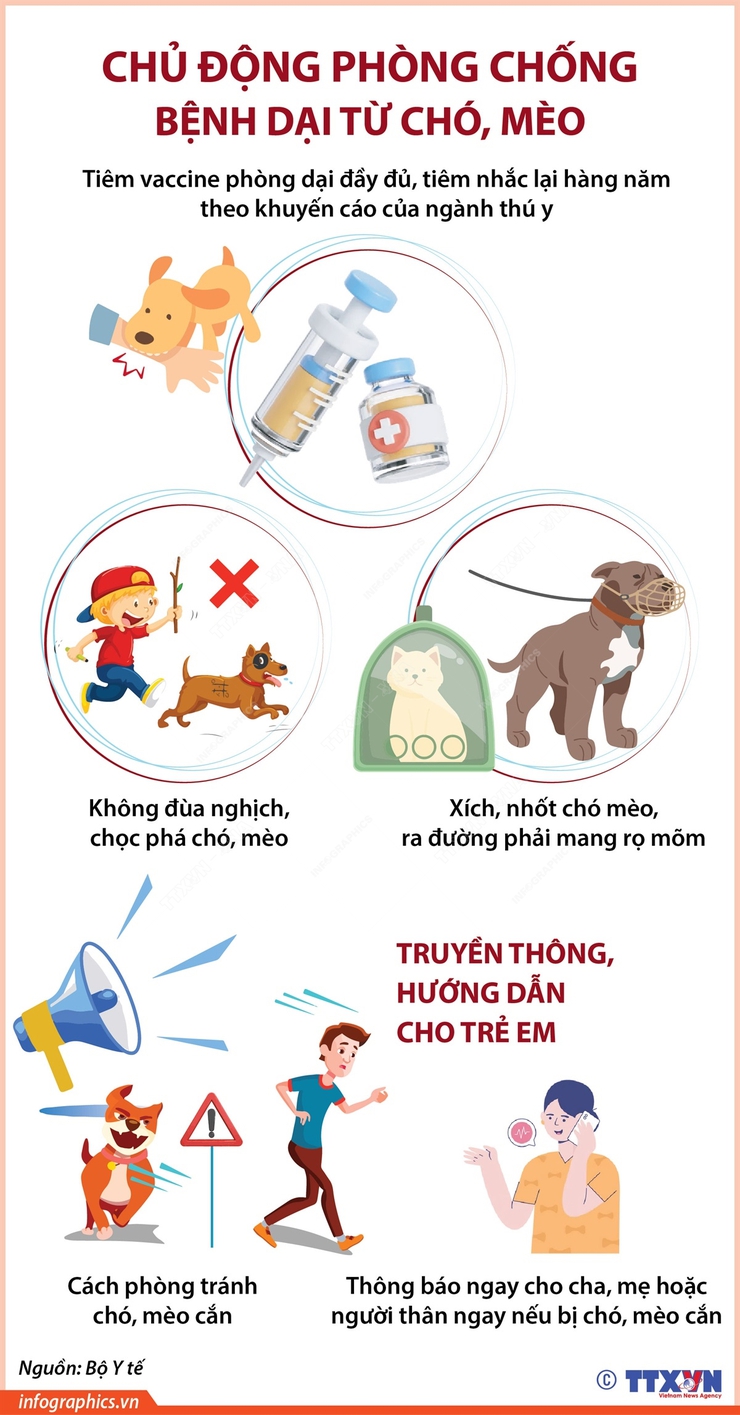 Chủ động phòng, chống bệnh Dại: Mỗi người dân là một “lá chắn” bảo vệ cộng đồng- Ảnh 1.