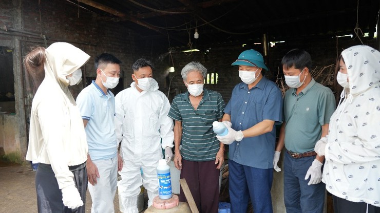 Triển khai công tác vệ sinh, khử trùng, tiêu độc và phun diệt ruồi sau tiêm phòng đại trà đợt 1 năm 2026- Ảnh 1.
