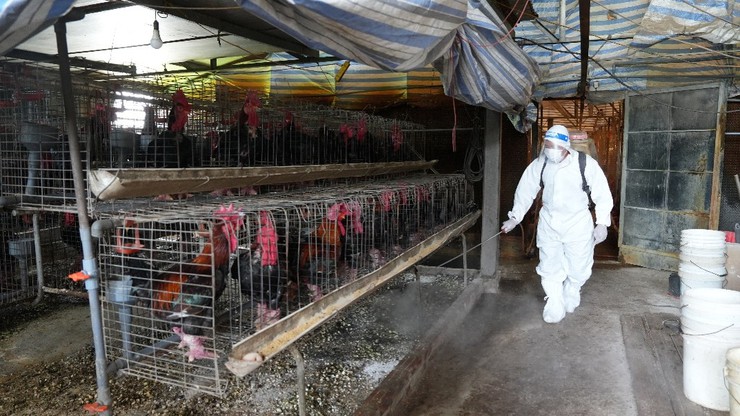Triển khai công tác vệ sinh, khử trùng, tiêu độc và phun diệt ruồi sau tiêm phòng đại trà đợt 1 năm 2026- Ảnh 4.