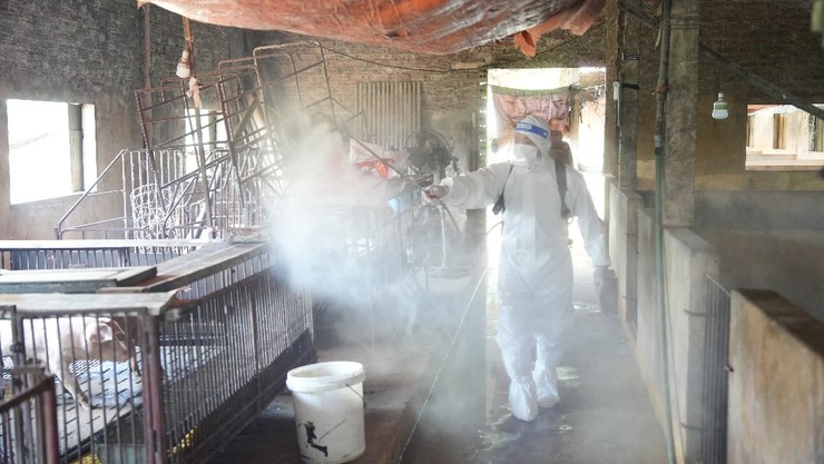 Triển khai công tác vệ sinh, khử trùng, tiêu độc và phun diệt ruồi sau tiêm phòng đại trà đợt 1 năm 2026- Ảnh 5.