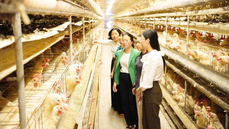 CHỦ TỊCH HỘI NÔNG DÂN THÀNH PHỐ HÀ NỘI LÀM VIỆC TẠI PHƯỢNG DỰC: ĐẨY MẠNH CHUYỂN ĐỔI SỐ, NHÂN RỘNG MÔ HÌNH KINH TẾ HIỆU QUẢ- Ảnh 2.