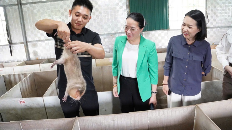CHỦ TỊCH HỘI NÔNG DÂN THÀNH PHỐ HÀ NỘI LÀM VIỆC TẠI PHƯỢNG DỰC: ĐẨY MẠNH CHUYỂN ĐỔI SỐ, NHÂN RỘNG MÔ HÌNH KINH TẾ HIỆU QUẢ- Ảnh 4.