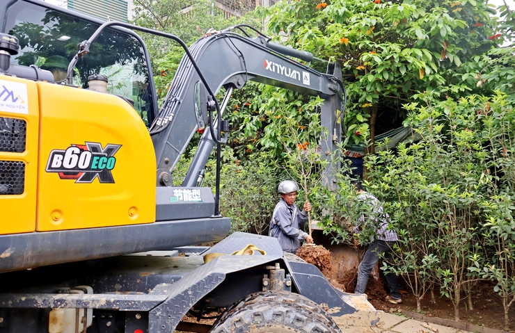 Xã Đoài Phương xử lý vi phạm về đất đai tại thôn Nhà Thờ- Ảnh 1.