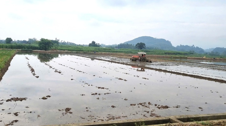 Đẩy nhanh tiến độ sản xuất vụ mùa 2026 trên địa bàn xã Đoài Phương- Ảnh 1.