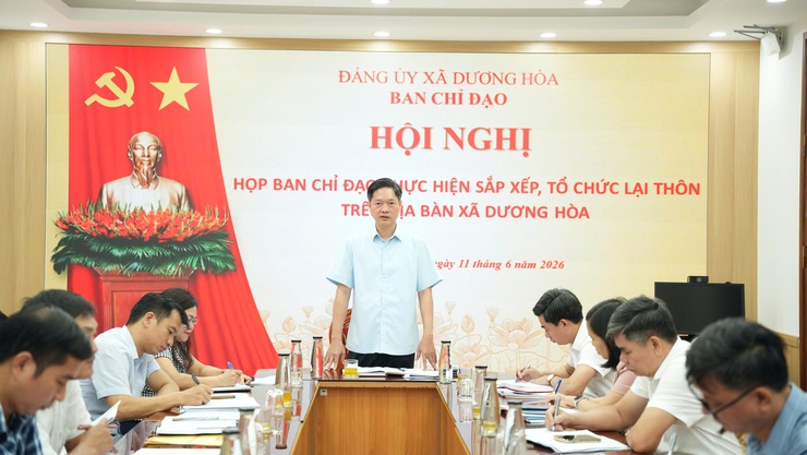 Xã Dương Hoà họp BCĐ thực hiện sắp xếp, tổ chức lại thôn trên địa bàn - Ảnh 6.