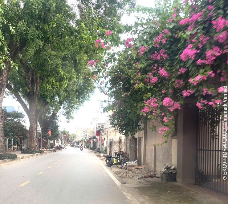 Xã Đoài Phương tăng cường công tác quản lý trật tự đô thị- Ảnh 1.