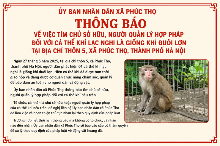 Tìm chủ sở hữu, người quản lý hợp pháp cá thể "Khỉ đuôi lợn" đi lạc tại thôn 5 xã Phúc Thọ - Ảnh 1.