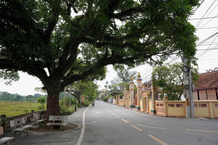 CÁN BỘ, ĐẢNG VIÊN VÀ NHÂN DÂN XÃ VÂN ĐÌNH: CHUNG SỨC, ĐỒNG LÒNG THỰC HIỆN TỐT CHỦ TRƯƠNG SÁP NHẬP THÔN- Ảnh 3.
