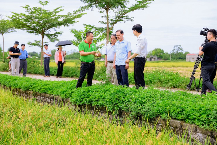 Ngày hội Lúa JAPONICA hữu cơ năm 2026: Tôn vinh giá trị lúa hữu cơ Đồng Phú- Ảnh 5.
