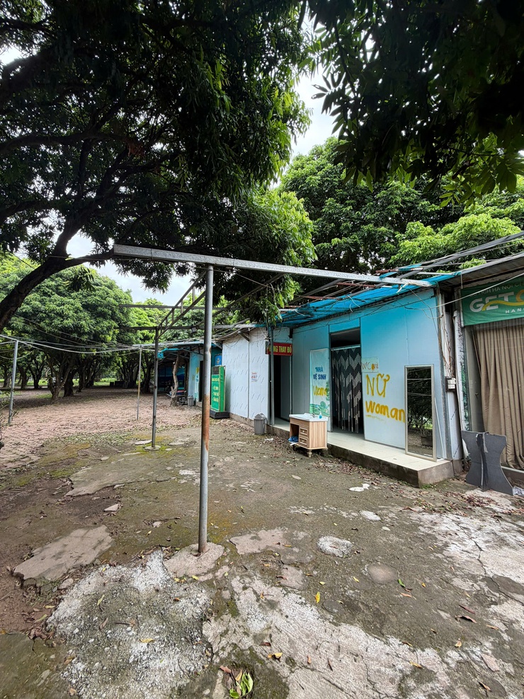 Phường Long Biên kiểm tra các vị trí vi phạm trên đất nông nghiệp công ích- Ảnh 2.