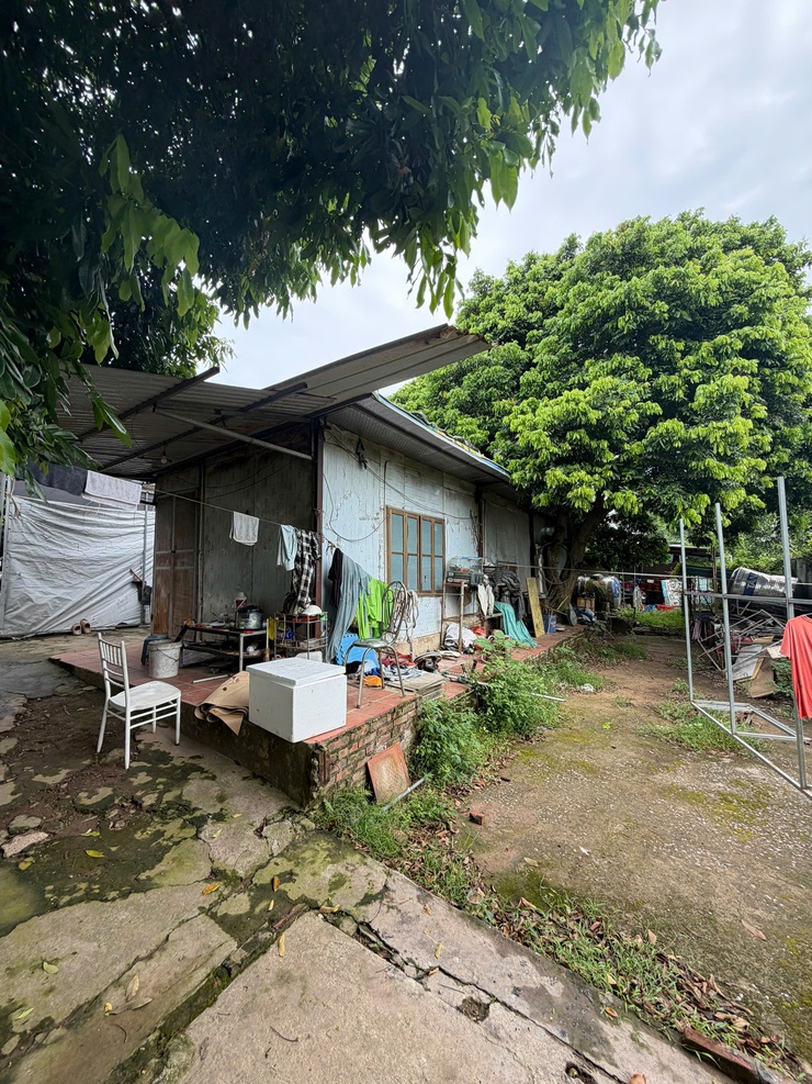 Phường Long Biên kiểm tra các vị trí vi phạm trên đất nông nghiệp công ích- Ảnh 3.