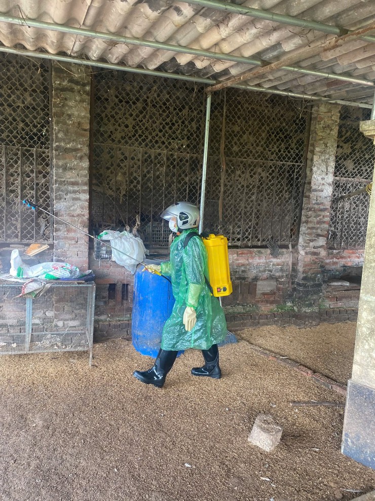 ĐỒNG LOẠT TRIỂN KHAI PHUN THUỐC SÁT TRÙNG, TIÊU ĐỘC MÔI TRƯỜNG TRÊN ĐỊA BÀN XÃ THANH OAI- Ảnh 1.