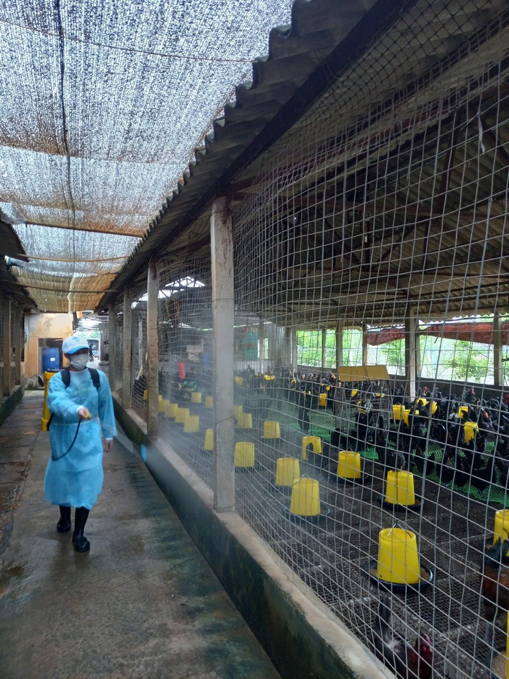 ĐỒNG LOẠT TRIỂN KHAI PHUN THUỐC SÁT TRÙNG, TIÊU ĐỘC MÔI TRƯỜNG TRÊN ĐỊA BÀN XÃ THANH OAI- Ảnh 2.
