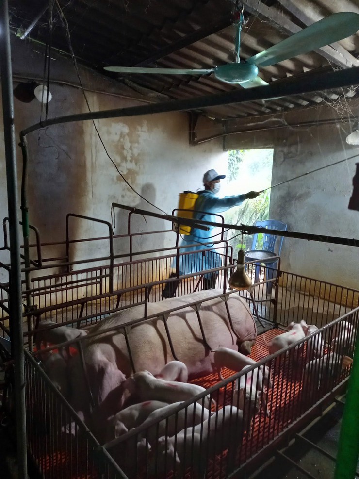 ĐỒNG LOẠT TRIỂN KHAI PHUN THUỐC SÁT TRÙNG, TIÊU ĐỘC MÔI TRƯỜNG TRÊN ĐỊA BÀN XÃ THANH OAI- Ảnh 3.