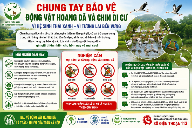 Chung tay bảo vệ các loài chim hoang dã và chim di cư vì một môi trường sinh thái an toàn và thân thiện- Ảnh 1.