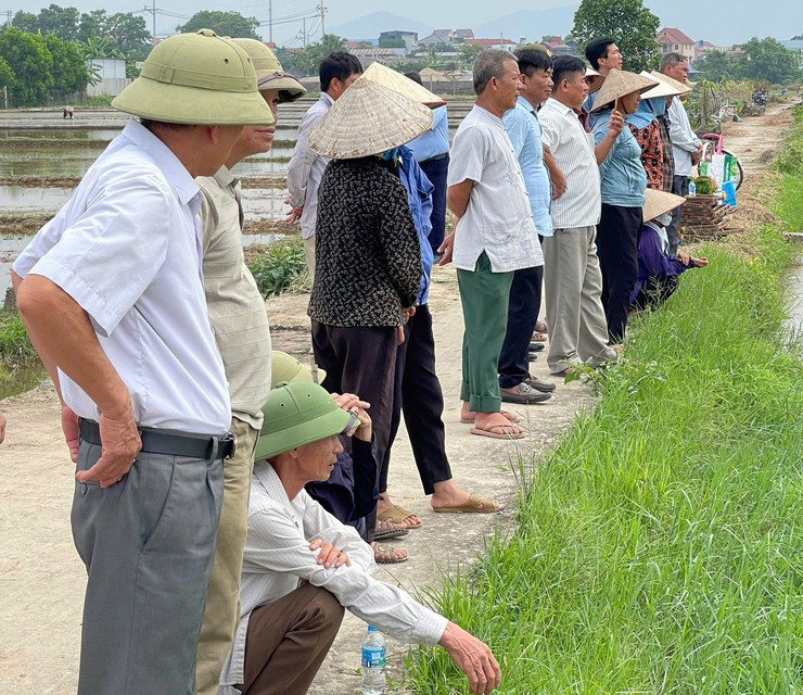 ĐẨY MẠNH CƠ GIỚI HÓA SẢN XUẤT LÚA, HƯỚNG TỚI NHỮNG CÁNH ĐỒNG MẪU LỚN- Ảnh 1.