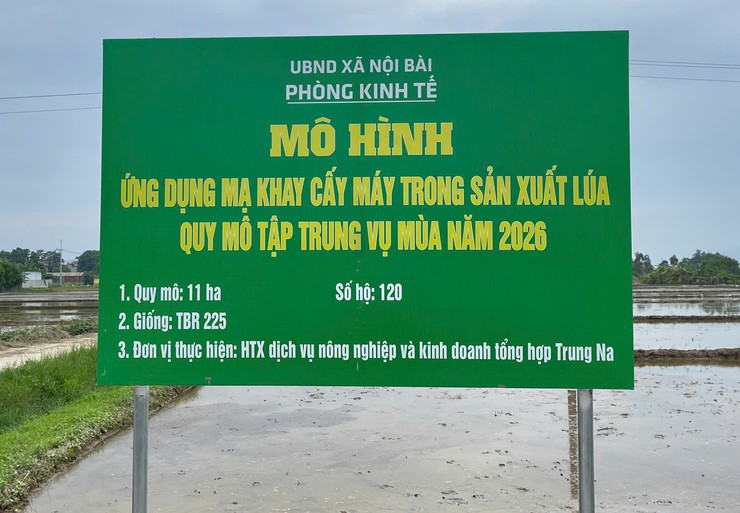 ĐẨY MẠNH CƠ GIỚI HÓA SẢN XUẤT LÚA, HƯỚNG TỚI NHỮNG CÁNH ĐỒNG MẪU LỚN- Ảnh 10.