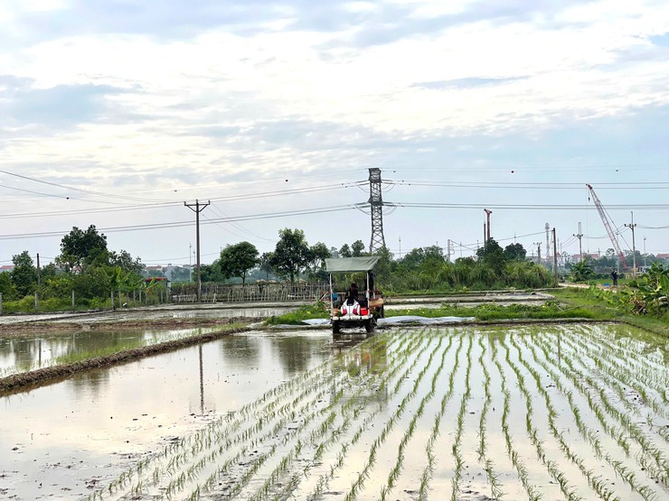 ĐẨY MẠNH CƠ GIỚI HÓA SẢN XUẤT LÚA, HƯỚNG TỚI NHỮNG CÁNH ĐỒNG MẪU LỚN- Ảnh 4.