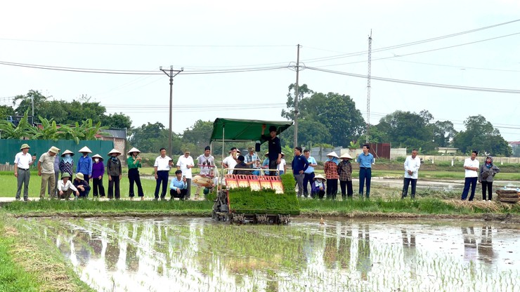ĐẨY MẠNH CƠ GIỚI HÓA SẢN XUẤT LÚA, HƯỚNG TỚI NHỮNG CÁNH ĐỒNG MẪU LỚN- Ảnh 2.