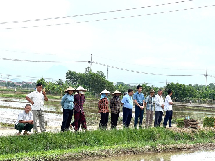 ĐẨY MẠNH CƠ GIỚI HÓA SẢN XUẤT LÚA, HƯỚNG TỚI NHỮNG CÁNH ĐỒNG MẪU LỚN- Ảnh 3.