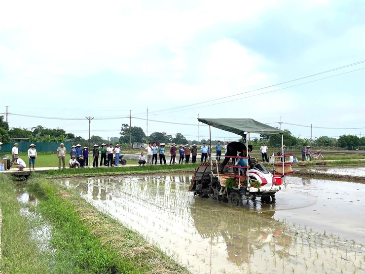 ĐẨY MẠNH CƠ GIỚI HÓA SẢN XUẤT LÚA, HƯỚNG TỚI NHỮNG CÁNH ĐỒNG MẪU LỚN- Ảnh 7.